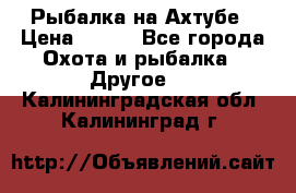 Рыбалка на Ахтубе › Цена ­ 500 - Все города Охота и рыбалка » Другое   . Калининградская обл.,Калининград г.